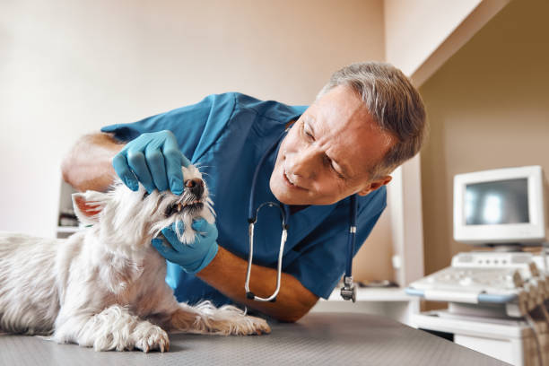 Best Dental Abscess Treatment in Kennewick, WA